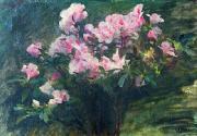 Study of Azaleas